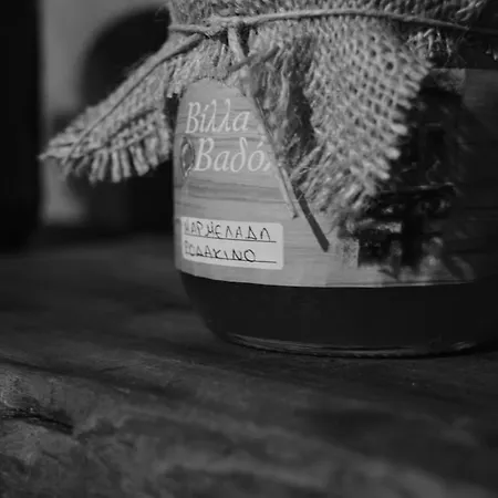 Vadola Maison d'hôtes Arkochorion