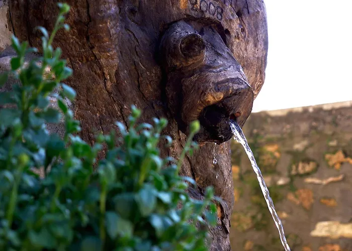 Vadola Πανσιόν Αρκοχώρι