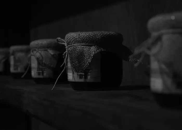 Vadola Πανσιόν